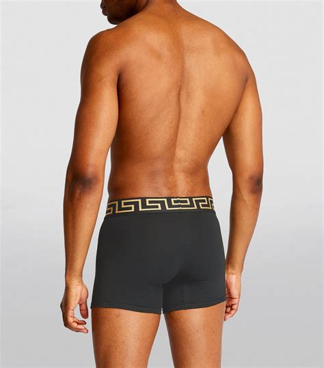 versace briefs.